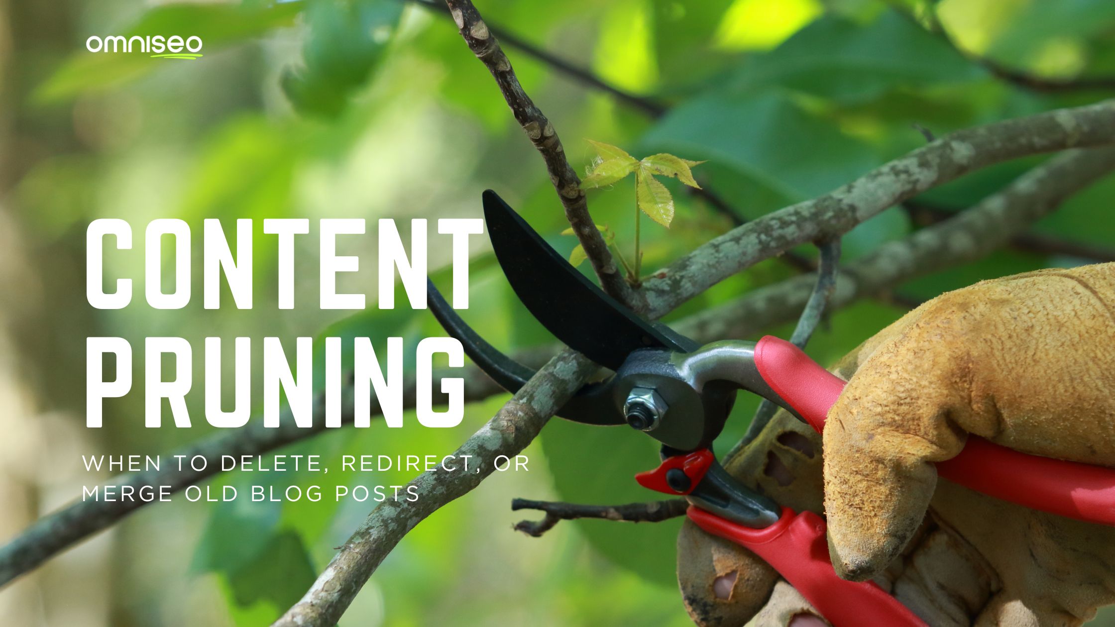content pruning